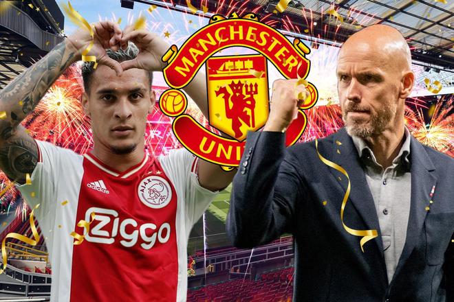 新哈兰德 新哈兰德